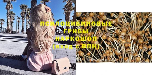 соль курить ск Алзамай