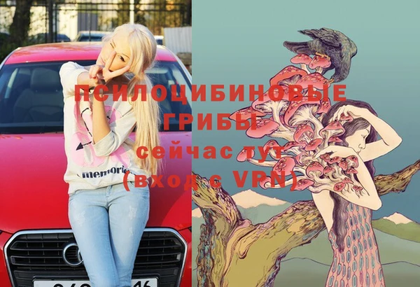 твердый Абинск